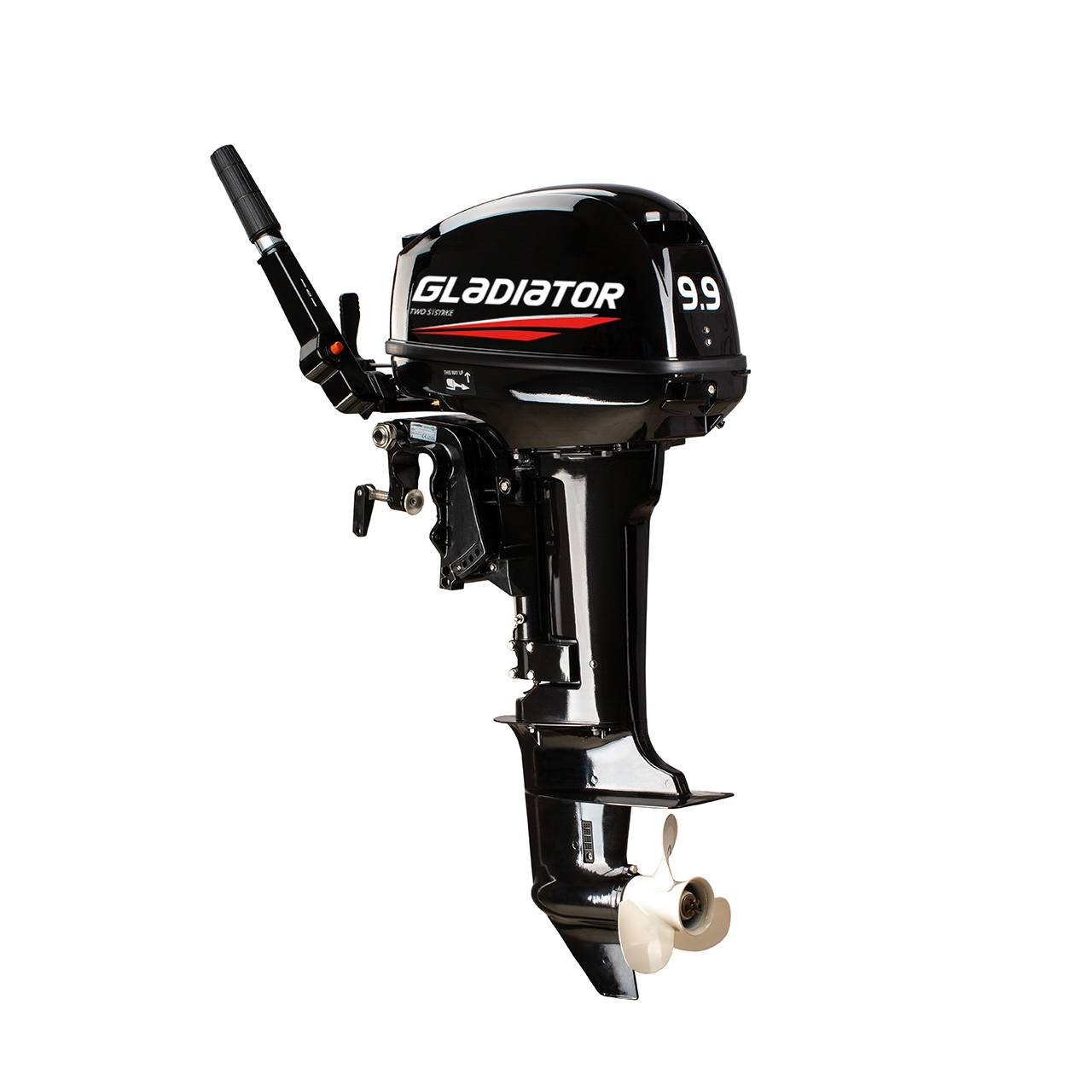 ЛОДОЧНЫЙ МОТОР GLADIATOR G9.9FHS в Новошахтинске