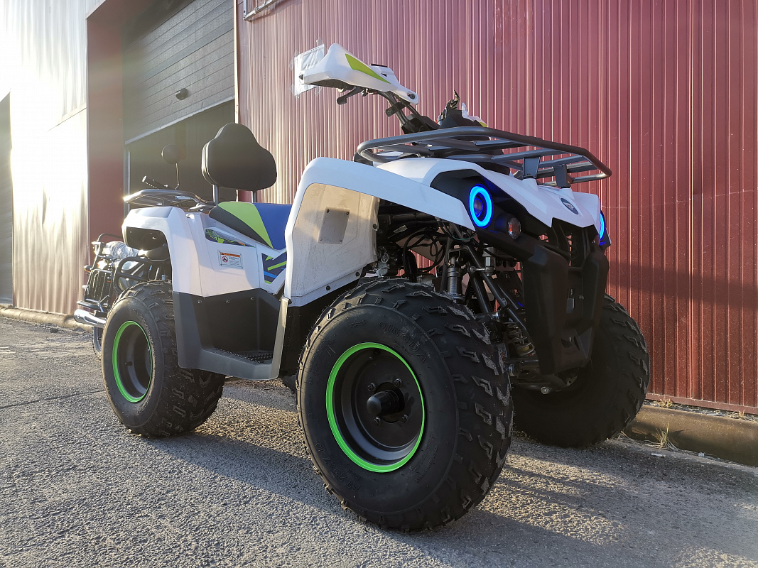 Квадроцикл PROMAX RENEGADE 280 LUX (2025) в Новошахтинске