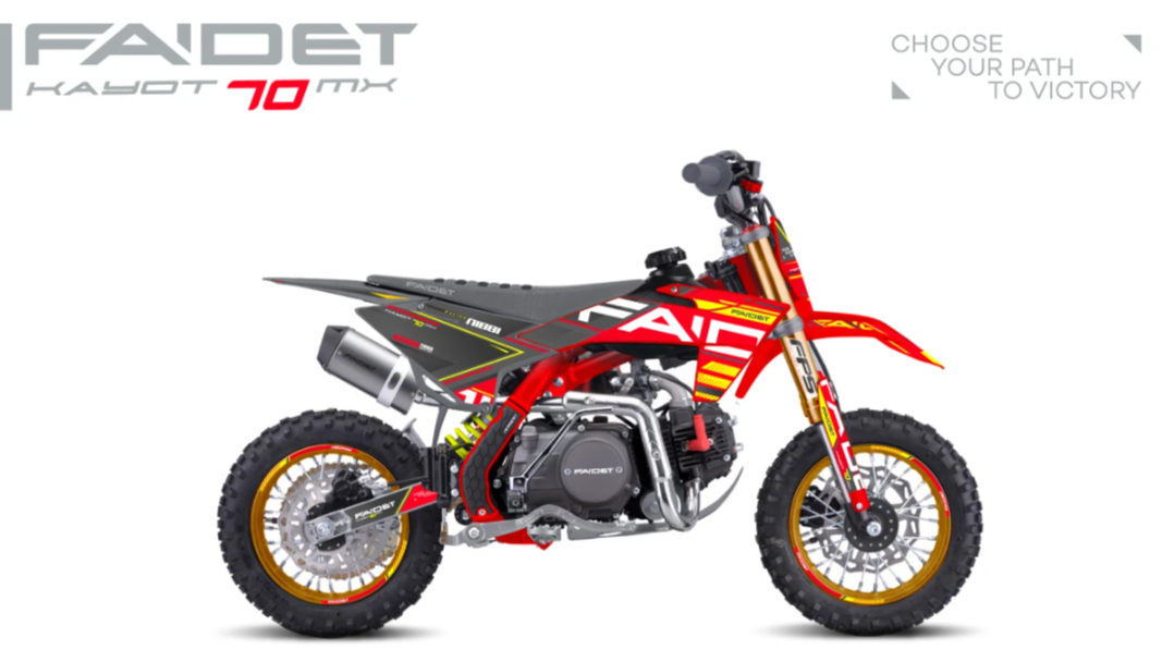 Питбайк FAIDET KAYOT 70 12/10 в Новошахтинске