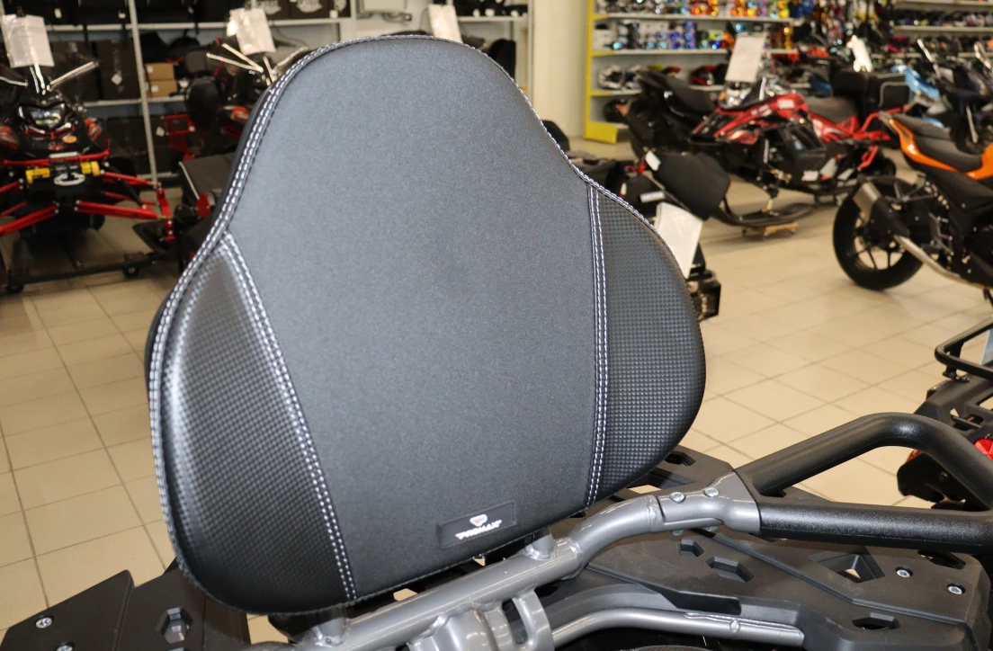 Квадроцикл PROMAX RENEGADE 300 LONG WINCH PRO (2025) в Новошахтинске