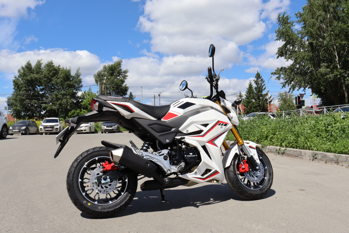 Мотоцикл PROMAX STRYKER 200(49) 2.0 в Новошахтинске