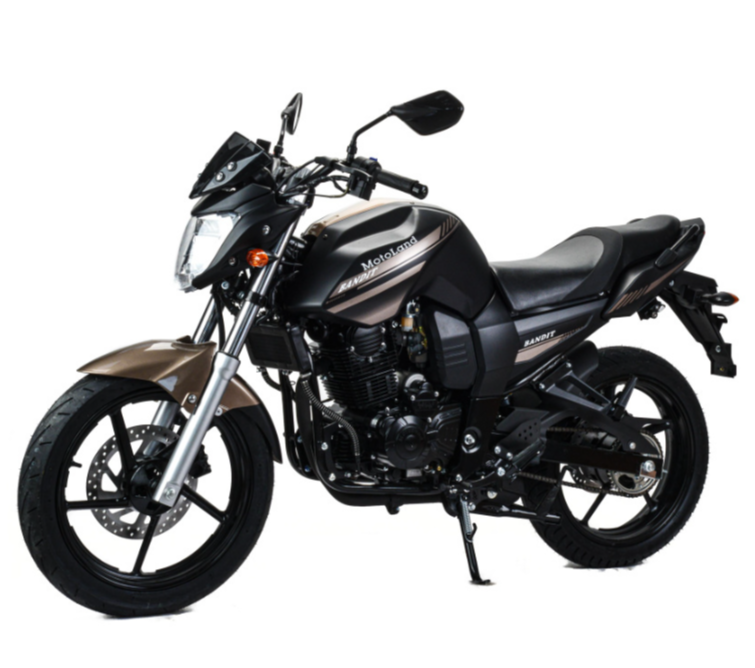 Мотоцикл MOTOLAND (МОТОЛЕНД) 300 BANDIT в Новошахтинске