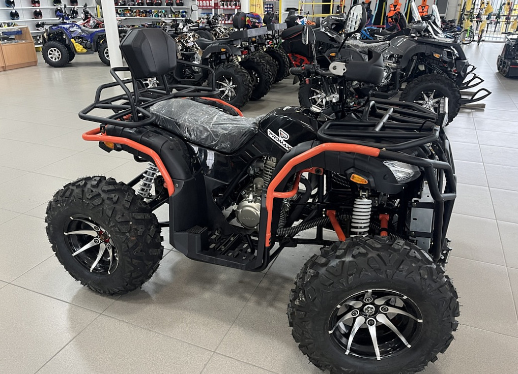 Квадроцикл PROMAX 300 4X4 ALL ROAD в Новошахтинске