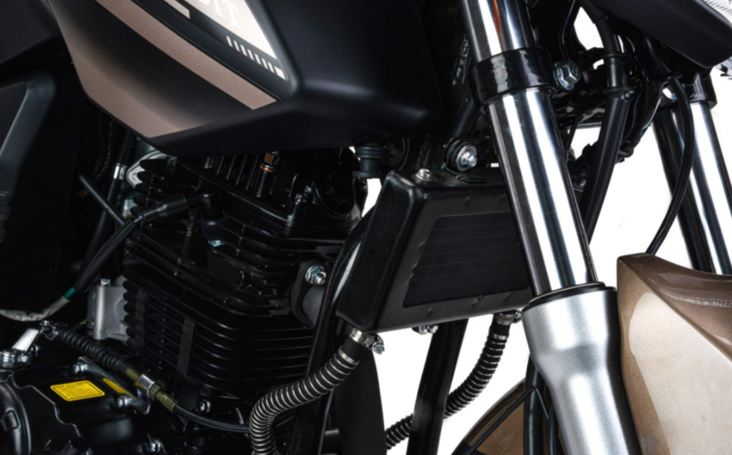 Мотоцикл MOTOLAND (МОТОЛЕНД) 300 BANDIT в Новошахтинске