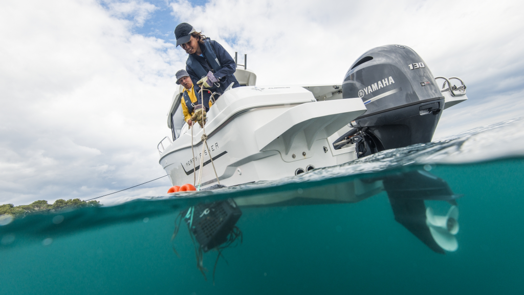 ЛОДОЧНЫЙ МОТОР YAMAHA F130 AETX в Новошахтинске