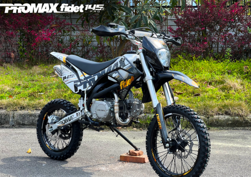 Мотоцикл (питбайк) PROMAX FIDET (ФАЙДЕТ) 145E PRO 17/14 в Новошахтинске