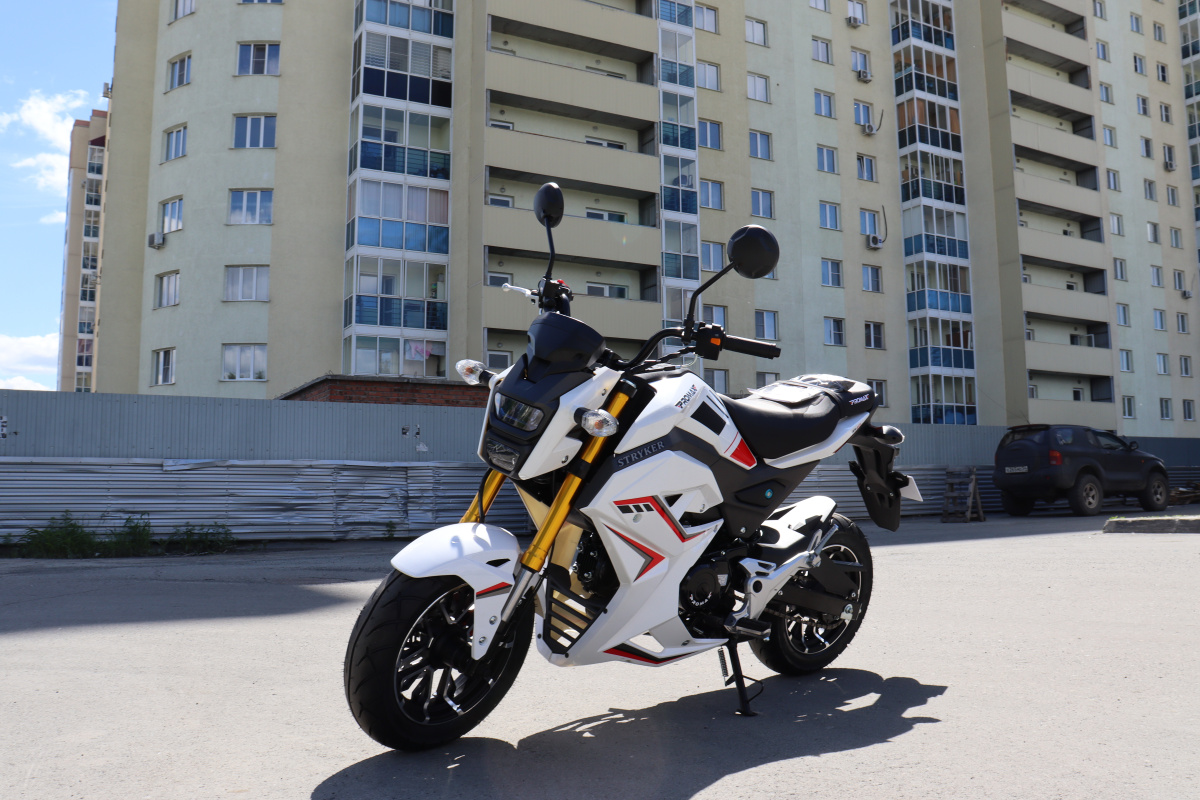 Мотоцикл PROMAX STRYKER 200(49) 2.0 в Новошахтинске