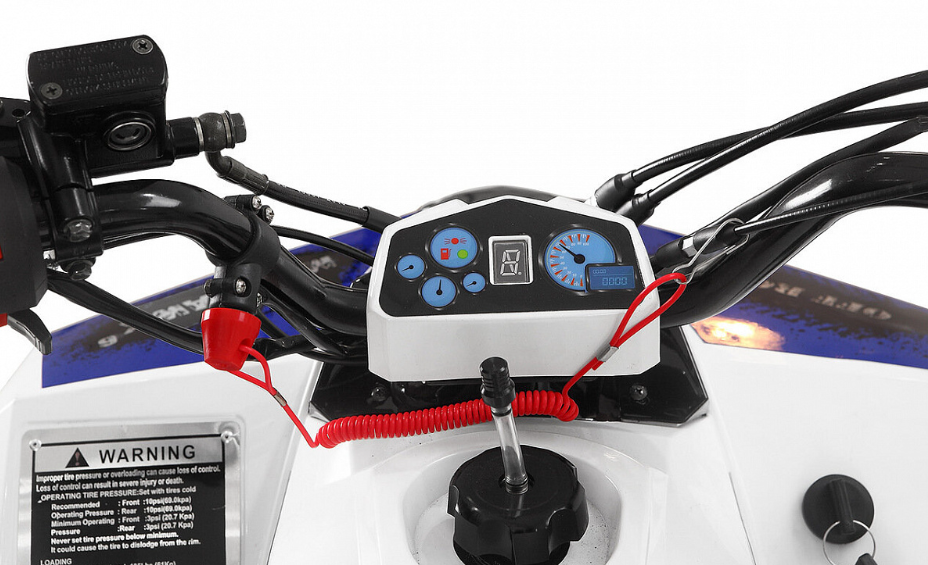 Квадроцикл Yacota Raposa PRO-SPORT в Новошахтинске