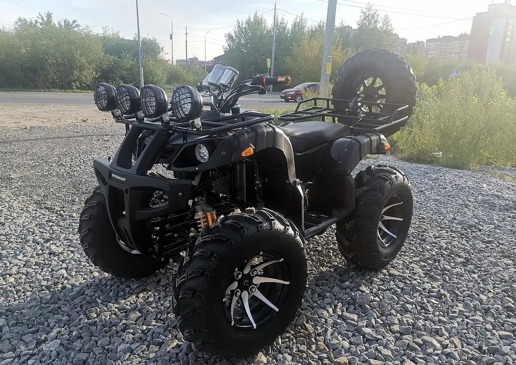 Квадроцикл PROMAX LEO 300 Max (кардан) в Новошахтинске
