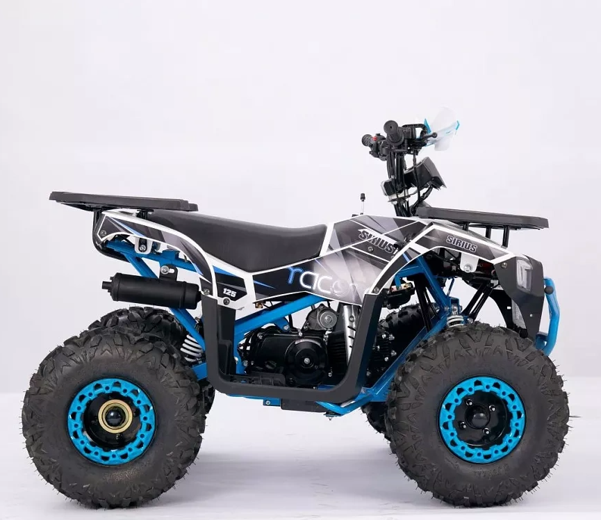 Квадроцикл YACOTA SIRIUS 110 в Новошахтинске