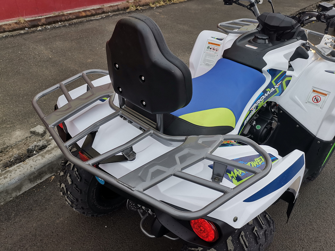 Квадроцикл PROMAX RENEGADE 280 LUX (2025) в Новошахтинске