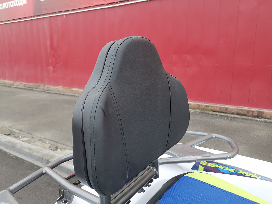 Квадроцикл PROMAX RENEGADE 280 LUX (2025) в Новошахтинске