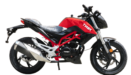Мотоцикл TMBK Dukes 200cc в Новошахтинске
