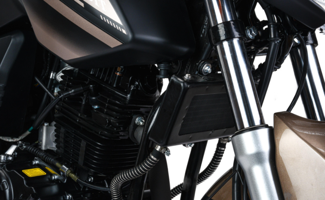 Мотоцикл MOTOLAND (МОТОЛЕНД) 300 BANDIT в Новошахтинске