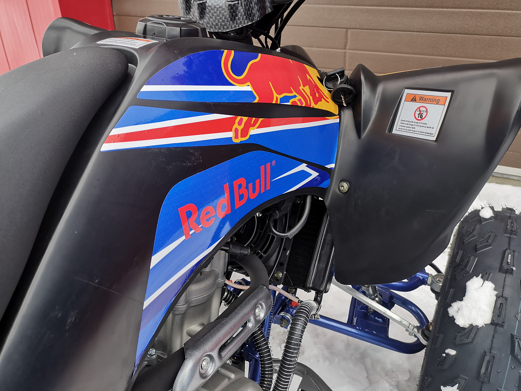 Квадроцикл PROMAX RAPTOR 300 NEW RedBull в Новошахтинске