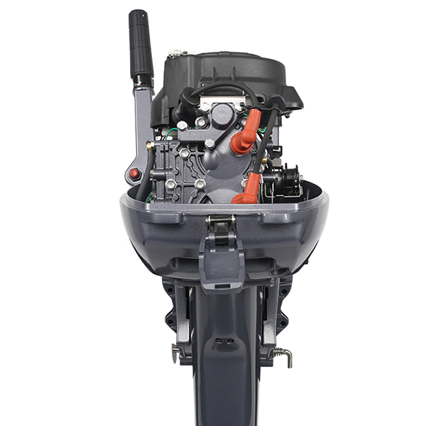 ЛОДОЧНЫЙ МОТОР ALLFA CG Т9,9 в Новошахтинске