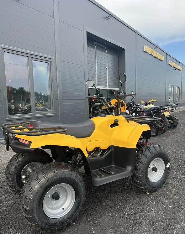 КВАДРОЦИКЛ IRBIS ATV 250  в Новошахтинске