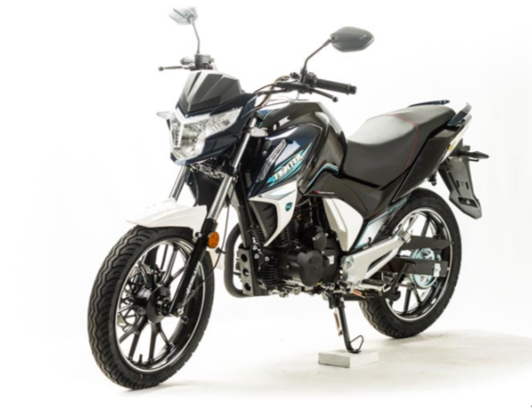 Мотоцикл MOTOLAND (МОТОЛЕНД) FIGHTER 250 в Новошахтинске