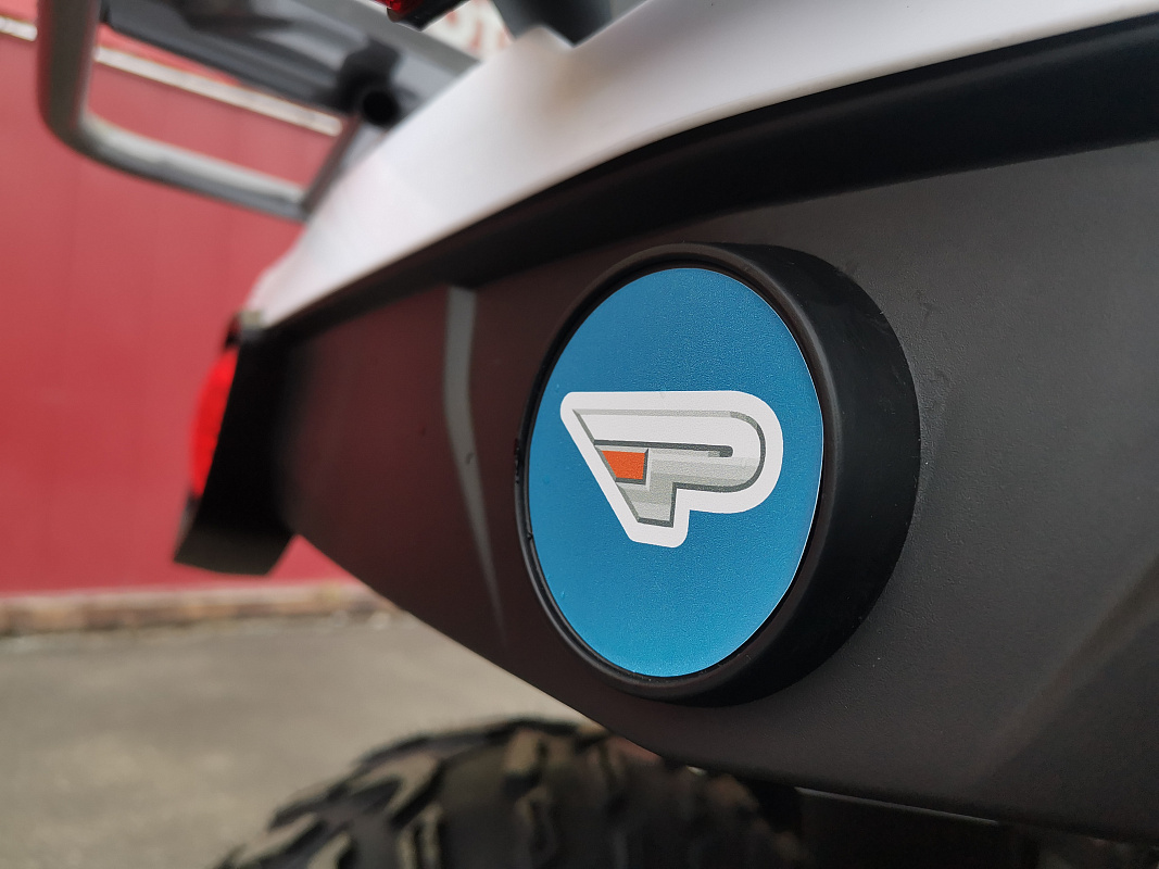 Квадроцикл PROMAX RENEGADE 280 LUX (2025) в Новошахтинске