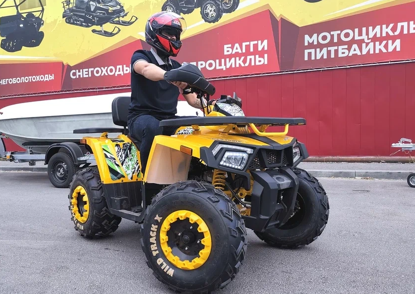Квадроцикл PROMAX STORM 280 LUX в Новошахтинске