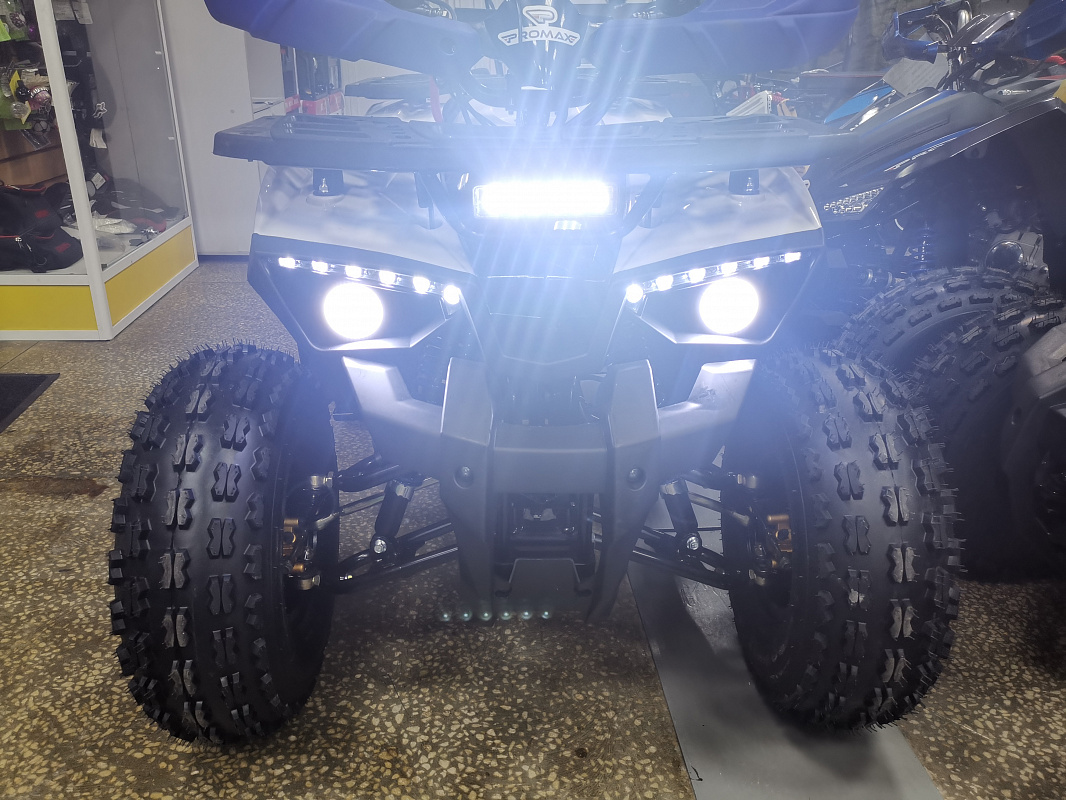 Квадроцикл PROMAX WILD 175 LUX в Новошахтинске