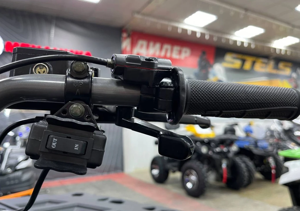 Квадроцикл PROMAX RENEGADE 300 LONG WINCH PRO (2025) в Новошахтинске