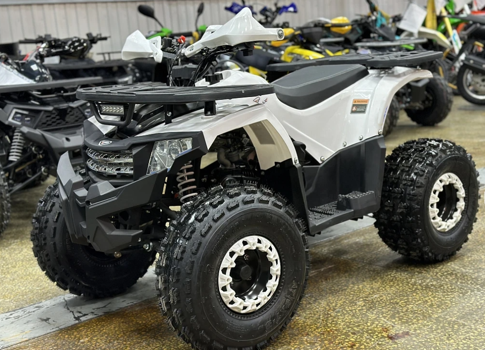 Квадроцикл PROMAX WILD 2.0 190 в Новошахтинске