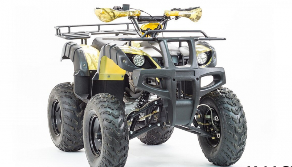 Квадроцикл MOTOLAND (МОТОЛЕНД) 250 ADVENTURE в Новошахтинске