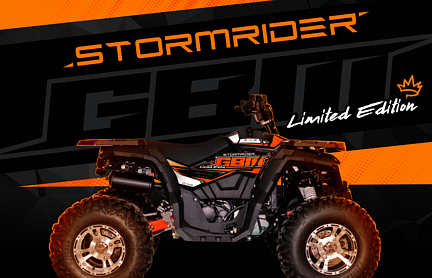 Квадроцикл GBM STORMRIDER 320 NEW LUX в Новошахтинске