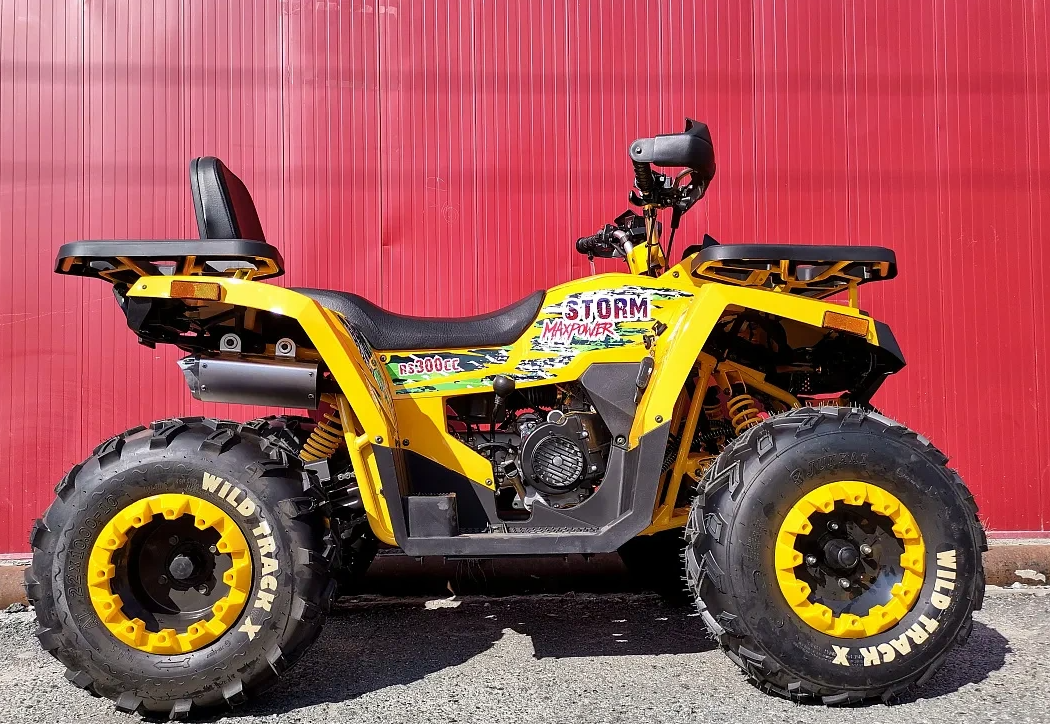 Квадроцикл PROMAX STORM 280 LUX в Новошахтинске