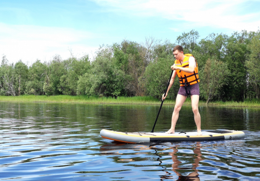 SUP (САП) Доска MISHIMO DINO 10(305) в Новошахтинске