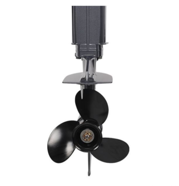 Лодочный мотор ALLFA CG Т40FW S в Новошахтинске