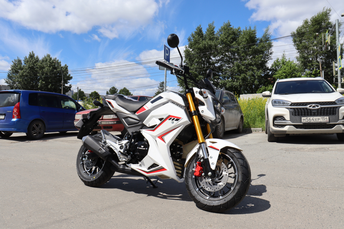 Мотоцикл PROMAX STRYKER 200(49) 2.0 в Новошахтинске