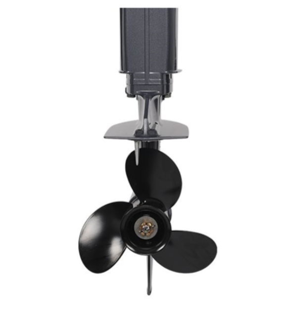 Лодочный мотор ALLFA CG Т40FWT S в Новошахтинске