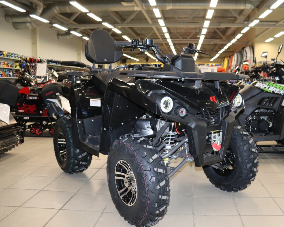 Квадроцикл PROMAX RENEGADE 300 LONG WINCH PRO (2025) в Новошахтинске