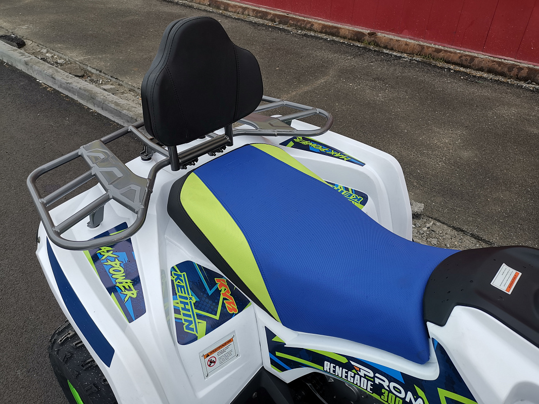 Квадроцикл PROMAX RENEGADE 280 LUX (2025) в Новошахтинске