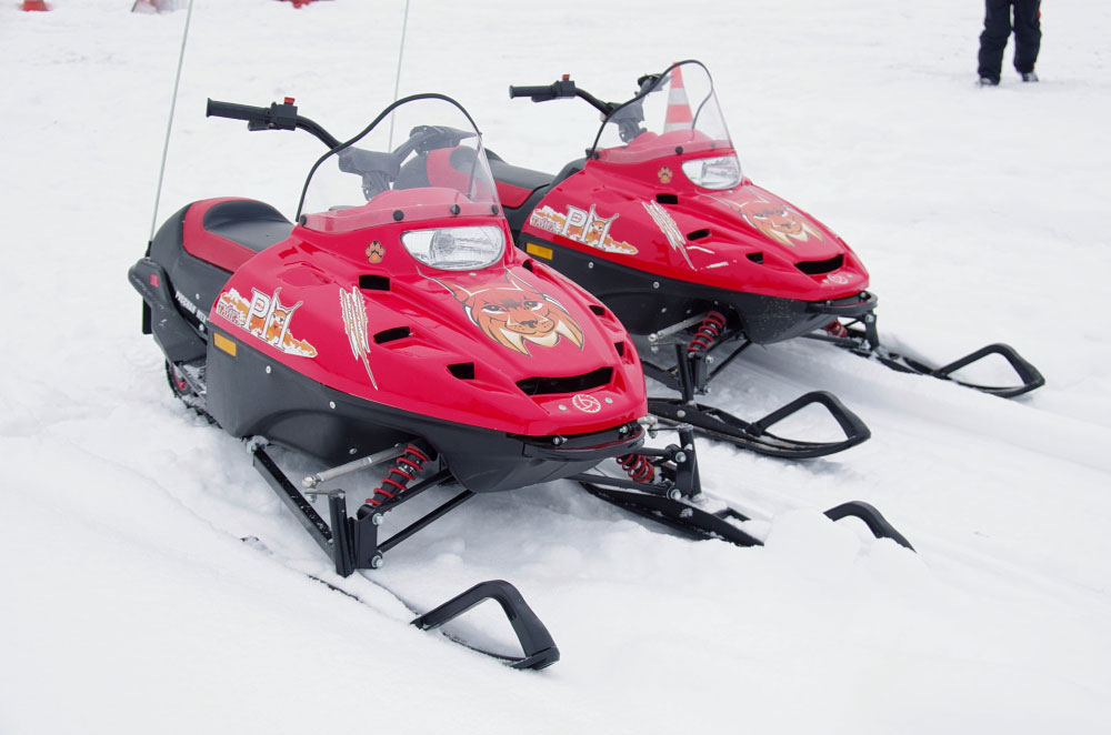 Снегоход РМ ТАЙГА РЫСЬ в Новошахтинске