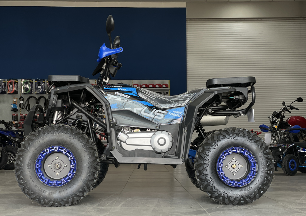 Квадроцикл PROMAX TAURUS 300 в Новошахтинске