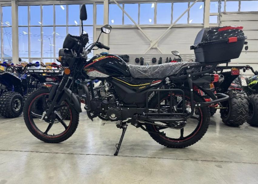 Мопед PROMAX ALPHA TOURIST 150(49) LUX в Новошахтинске