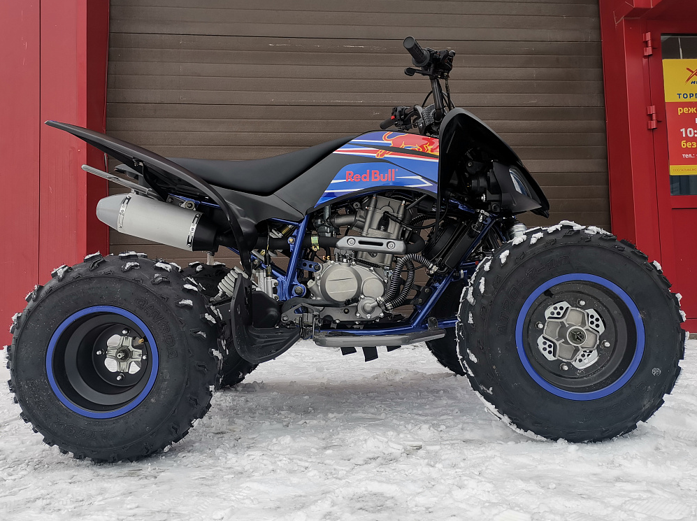 Квадроцикл PROMAX RAPTOR 300 NEW RedBull в Новошахтинске