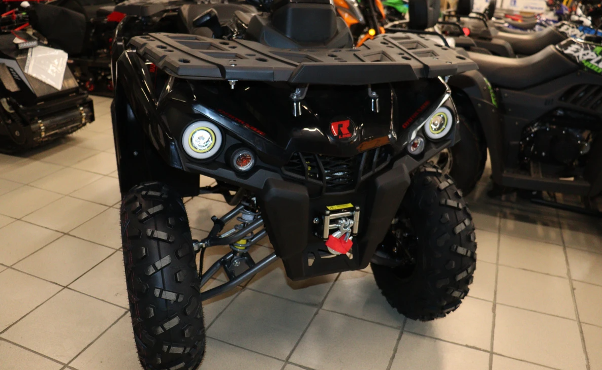 Квадроцикл PROMAX RENEGADE 300 LONG WINCH PRO (2025) в Новошахтинске