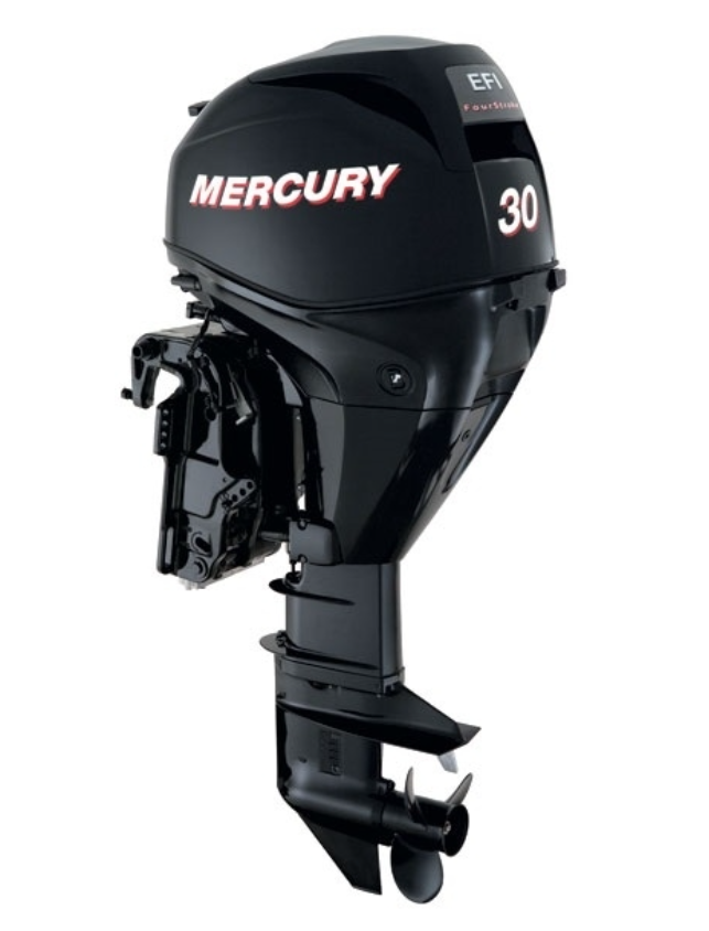 ЛОДОЧНЫЙ МОТОР MERCURY  F 30 ELH GA EFI в Новошахтинске