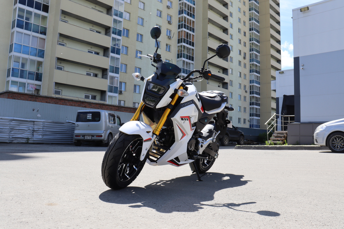 Мотоцикл PROMAX STRYKER 200(49) 2.0 в Новошахтинске