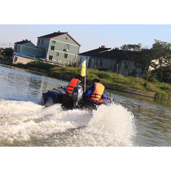 ЛОДОЧНЫЙ МОТОР ALLFA CG Т20 в Новошахтинске