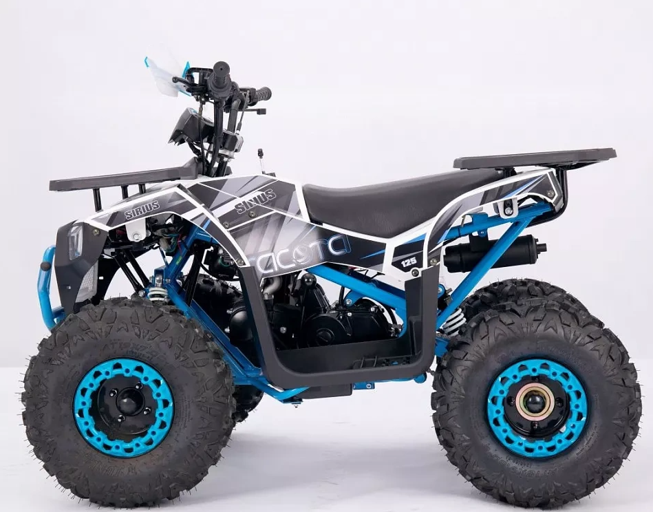 Квадроцикл YACOTA SIRIUS 110 в Новошахтинске