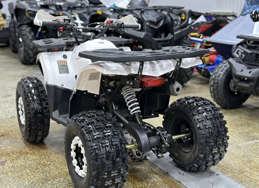 Квадроцикл PROMAX WILD 2.0 190 в Новошахтинске