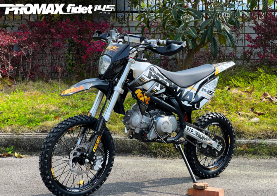 Мотоцикл (питбайк) PROMAX FIDET (ФАЙДЕТ) 145E PRO 17/14 в Новошахтинске