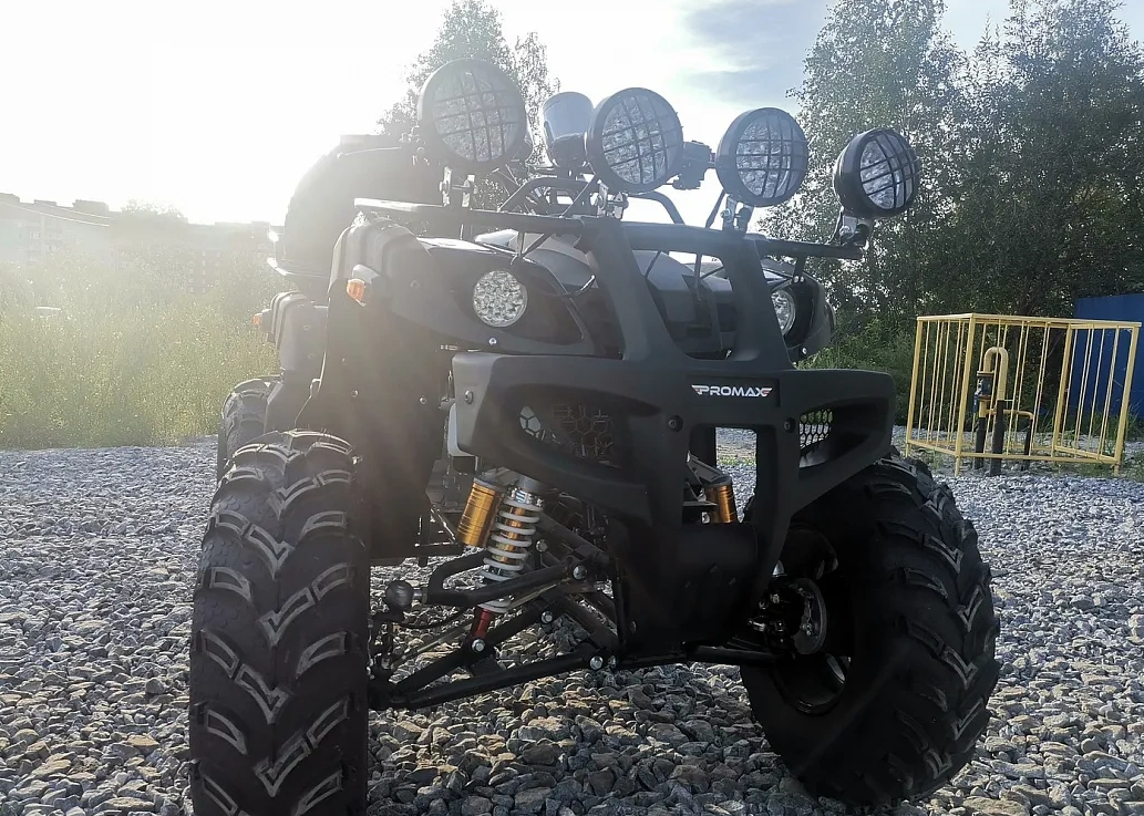 Квадроцикл PROMAX LEO 300 Max (кардан) в Новошахтинске