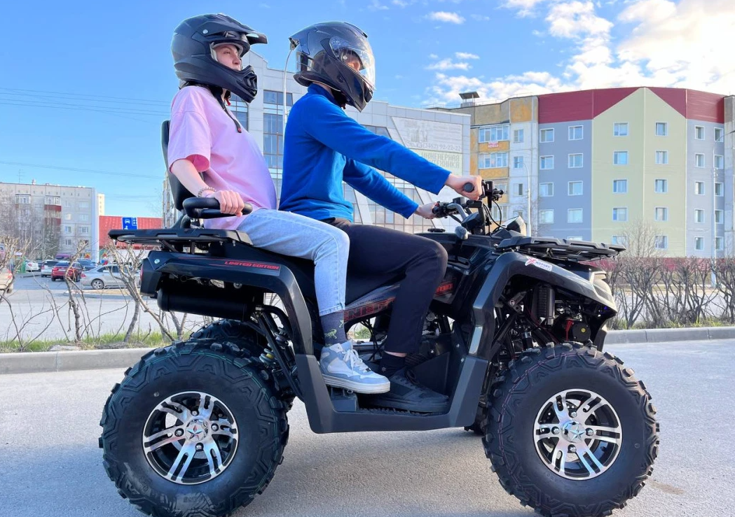 Квадроцикл PROMAX RENEGADE 300 LONG WINCH PRO (2025) в Новошахтинске