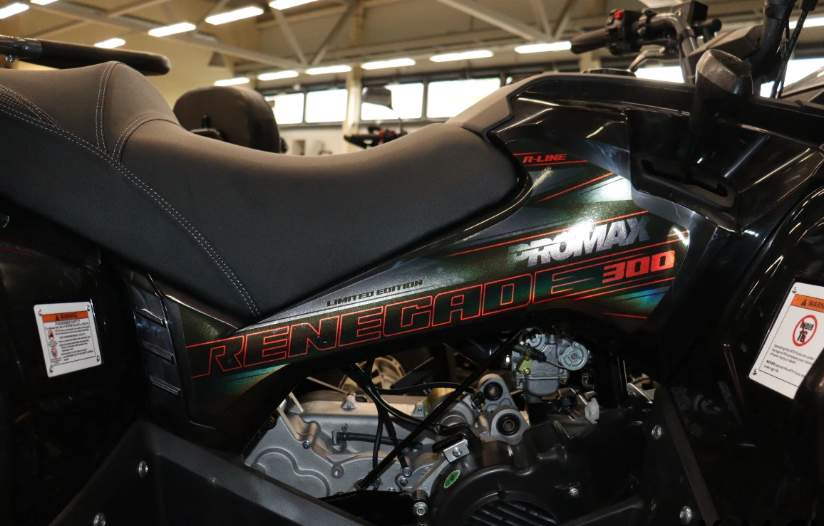 Квадроцикл PROMAX RENEGADE 300 LONG WINCH PRO (2025) в Новошахтинске